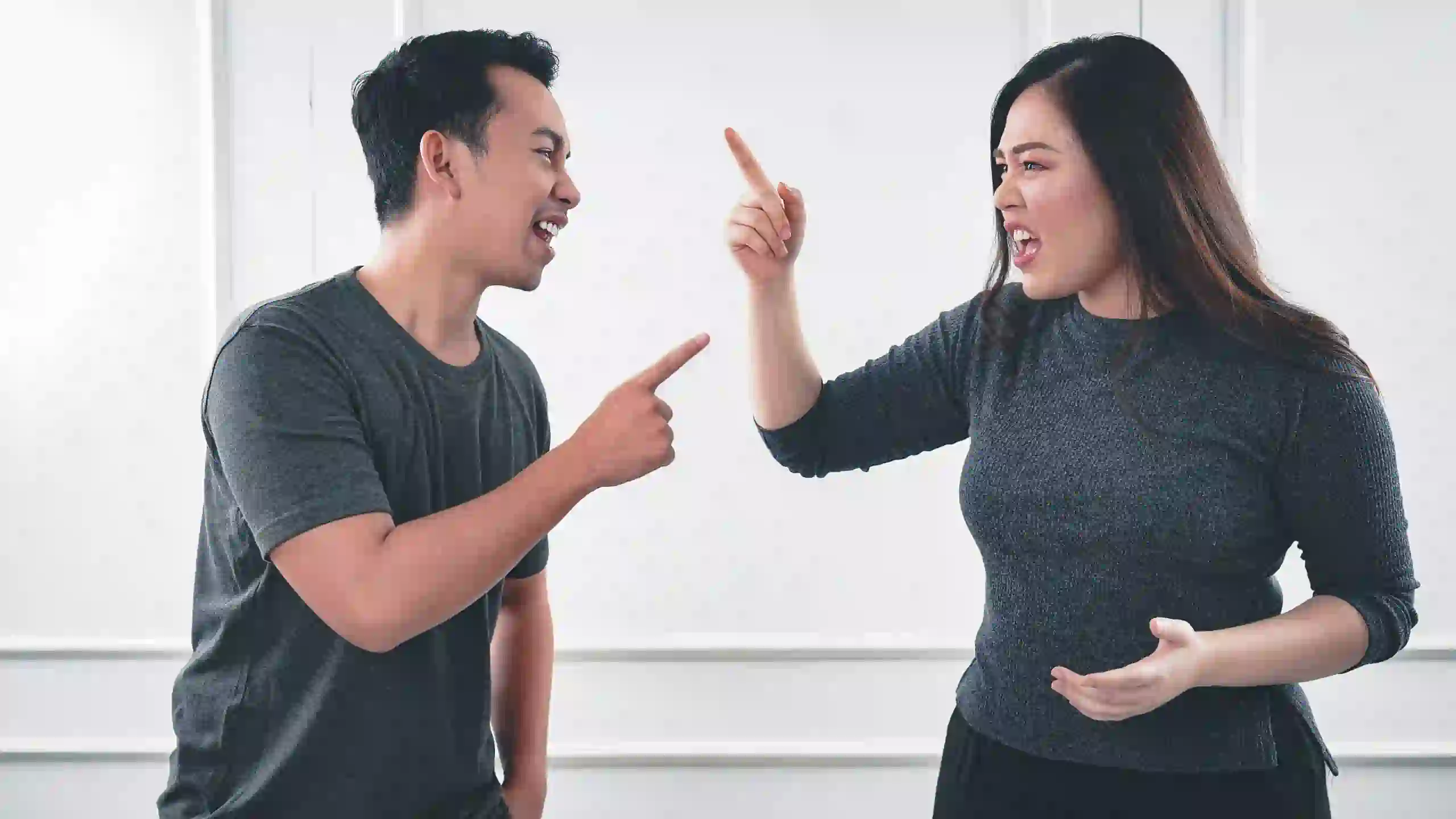 How Do We Decide When the Right Time Is to Introduce a New Partner Dyfed?